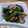 ポニーリボン's cooksnap of when they made ほうれん草と椎茸のバター炒め.
