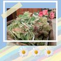 ダッフィーニーうに's cooksnap of when they made 水菜とサニーレタスのおかかサラダ.
