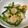 るぴナス's cooksnap of when they made 簡単♪海老とアスパラガスの中華風塩炒め.