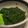 LunaJuno's cooksnap of when they made すっげ～ウマい モロヘイヤ‼.