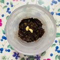 チェックのミニくま's cooksnap of when they made デトックスなおやつ。アボカドチョコムース.