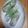 クックWBW2HR☆'s cooksnap of when they made 【大量消費】三つ葉の生春巻き.