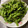 ぶちこ's cooksnap of when they made 水で5分！枝豆農家直伝簡単美味しい茹で方.