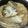 aozora＊'s cooksnap of when they made へだいの鯛めし、簡単うまし.