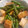 クックV6SBPJ☆'s cooksnap of when they made 厚揚げといんげんの煮物.