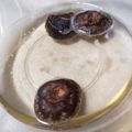 くむちん's cooksnap of when they made 簡単レンジで3分！乾しいたけの戻し方.