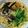 seacomet's cooksnap of when they made 麺つゆで簡単！キノコたくさん和風パスタ.