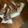 Yuka422号's cooksnap of when they made マドレーヌ 簡単 HM ①.