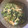 年中保存食作り's cooksnap of when they made 春だねえ☆菜の花の卵とじ♪.
