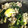 amanod0v0b's cooksnap of when they made 超旨！ほうれん草の卵炒め・オイスター風味.