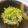 Ｒ's cooksnap of when they made 【簡単・常備菜】もやしと小松菜のナムル.