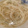 Ｋ子にゃん's cooksnap of when they made さっぱり♪塩ぶっかけソーメン.
