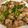 クックLZ7E8G☆'s cooksnap of when they made 鶏肉とごぼう、かき菜の味噌炒め.