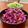 Superlittleboo's cooksnap of when they made 【野菜】紫キャベツのマリネ.