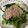 ネギがお好き's cooksnap of when they made とろろ昆布合う！ほうれん草と水菜のナムル.