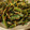 kuragenoie's cooksnap of when they made ほうれん草の胡麻和え.