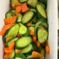 マトリョーシカ1号's cooksnap of when they made キュウリと人参の常備菜.