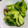 ☆あさ's cooksnap of when they made 胡瓜の浅漬け 簡単です！♪.