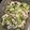 伊藤。's cooksnap of when they made 栄養満点☆枝豆とひじきと豆腐のサラダ.