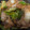 まーあす☆'s cooksnap of when they made 牛焼肉用と玉ねぎピーマンのオイスター炒め.