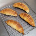 rik_piyo's cooksnap of when they made 30分で完成！？不思議パンの塩パン.