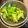 ブランディ's cooksnap of when they made ブロッコリーの美味しい茹で方.