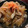 ONE★MAYU★'s cooksnap of when they made 簡単✨すき家風？吉野家風？豚丼✨.