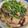 ゆるмαмα's cooksnap of when they made 絶対おすすめ☆塩レバー.