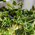 あゆたっくん's cooksnap of when they made 生わかめが主役！豆苗と簡単中華サラダ♪.