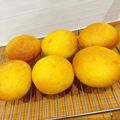 ♡あゆゆゆ♡'s cooksnap of when they made ☆フワフワかぼちゃパン☆.
