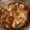 クック4S1NRW☆'s cooksnap of when they made 定番で簡単！イカと大根とこんにゃくの煮物.