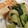 へのへのもへの's cooksnap of when they made 青梗菜と豆腐の中華炒め.