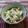 ﾁｲﾁｬﾝﾏﾏ's cooksnap of when they made 長芋、お好きな海鮮夏野菜でコロコロ酢の物.