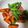 ♬のんのこ日和♬'s cooksnap of when they made 簡単！ウインナーとオクラのバター醤油.