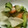 ☆ごはんできた☆'s cooksnap of when they made 大根と人参の甘酢漬け.