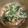 3645's cooksnap of when they made 水菜と油あげのさっと煮♪.