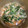 3645's cooksnap of when they made 水菜と油あげのさっと煮♪.