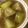 アパッチマコ's cooksnap of when they made はやとうりのそぼろあんかけ.
