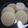 Ran6312's cooksnap of when they made ほっこり♡ 白だし大根煮.