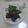 みかかめ's cooksnap of when they made おつまみネギトロ.