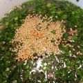 クックCPQRXF☆'s cooksnap of when they made ラー油で♡豚バラと茄子のニラつけうどん.