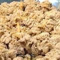 kyootan's cooksnap of when they made 簡単!うまぁ-い♡ ブリの卵の煮つけ。*.