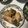 satoring11's cooksnap of when they made えのきと春菊の肉巻き.