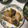satoring11's cooksnap of when they made えのきと春菊の肉巻き.