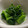 にゃつめ〜's cooksnap of when they made つるむらさきのシンプル激ウマお浸し.