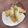 はるまき's cooksnap of when they made 【食品安全】変わり種！鶏むね肉の春巻き.