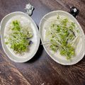 s06007's cooksnap of when they made 白菜とナス豚バラの牛乳煮込み.