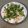 yama_miu's cooksnap of when they made 超節約でウマー！30円で本格伊勢うどん♪.