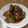 えりこ82☆'s cooksnap of when they made ピーマンの肉詰め.