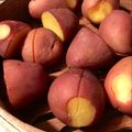クック☆やーっ！'s cooksnap of when they made 蒸籠☆野菜蒸し.